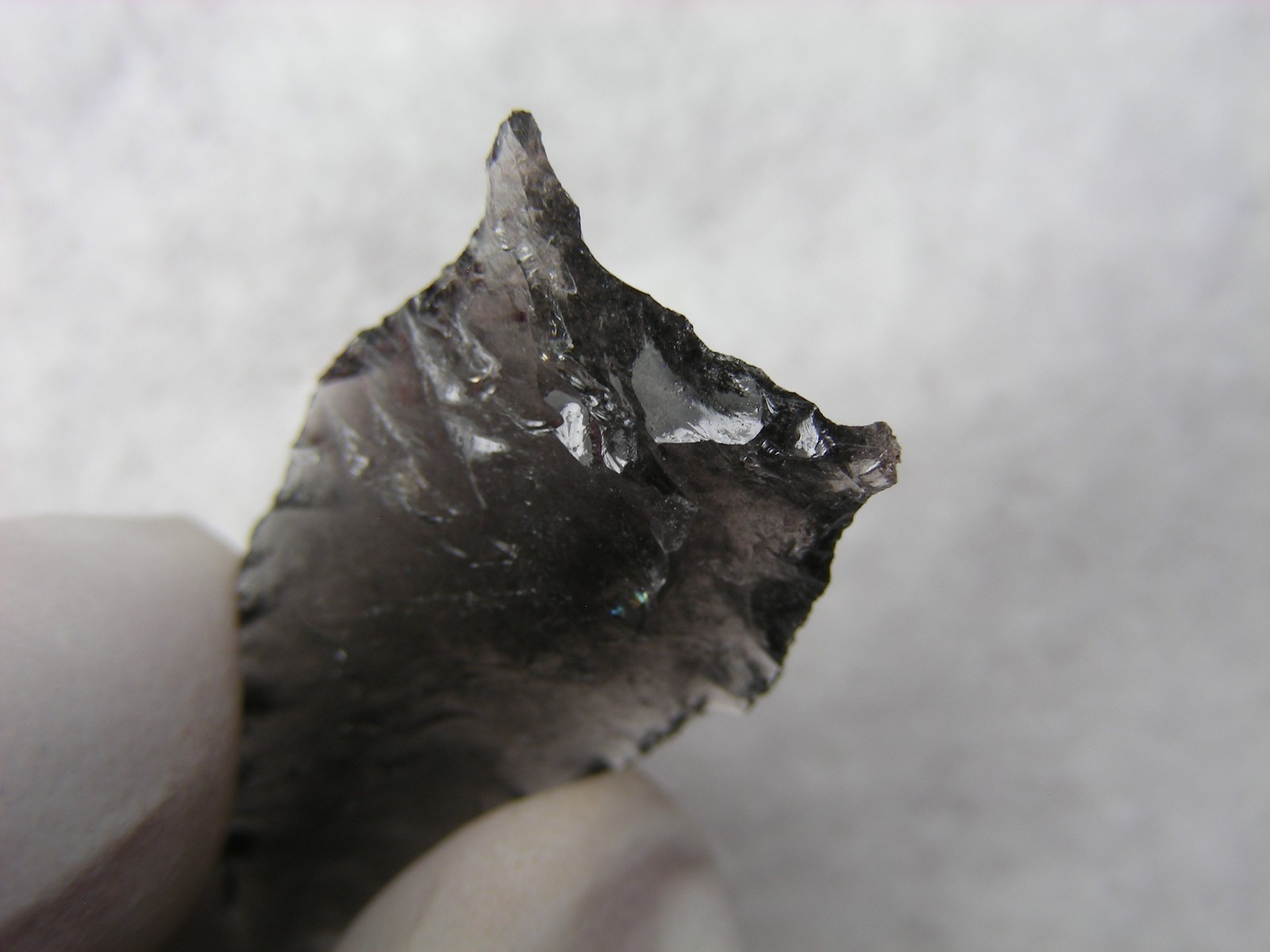 BUCHANAN EARED 1-1/4" NEVADA Authentic Indian Relics