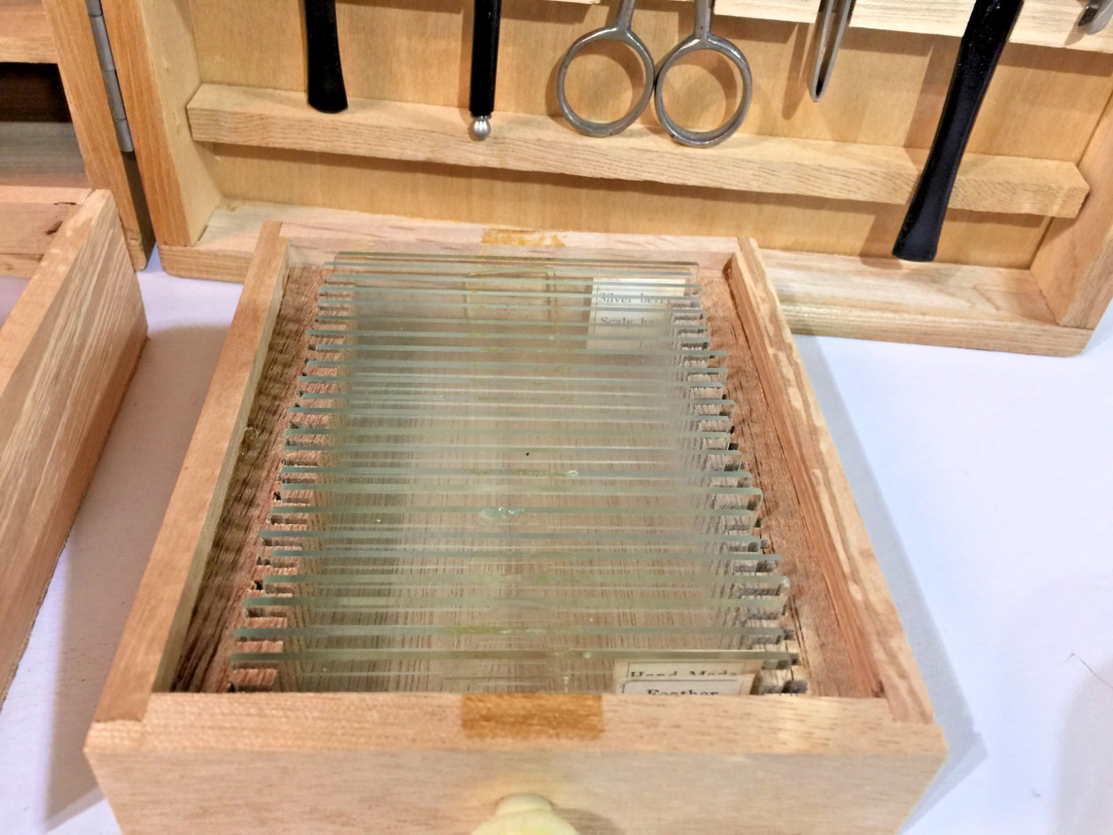 Vtg Empire Microscope & Laboratory 750 Power Illuminated W/Case, Equip. Untested