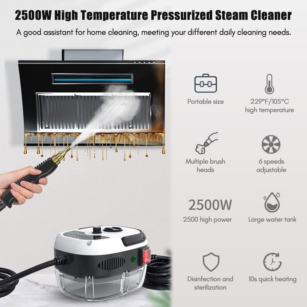 Handheld Car Detailing Cleaning Machine High Temp Steam Cleaner Household 2500W