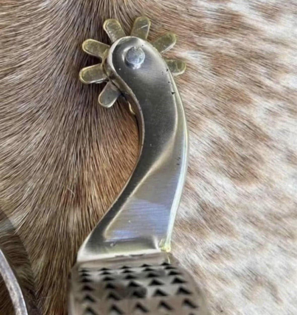 Pair Adult Size Stainless Steel Western Spurs Rasp Design