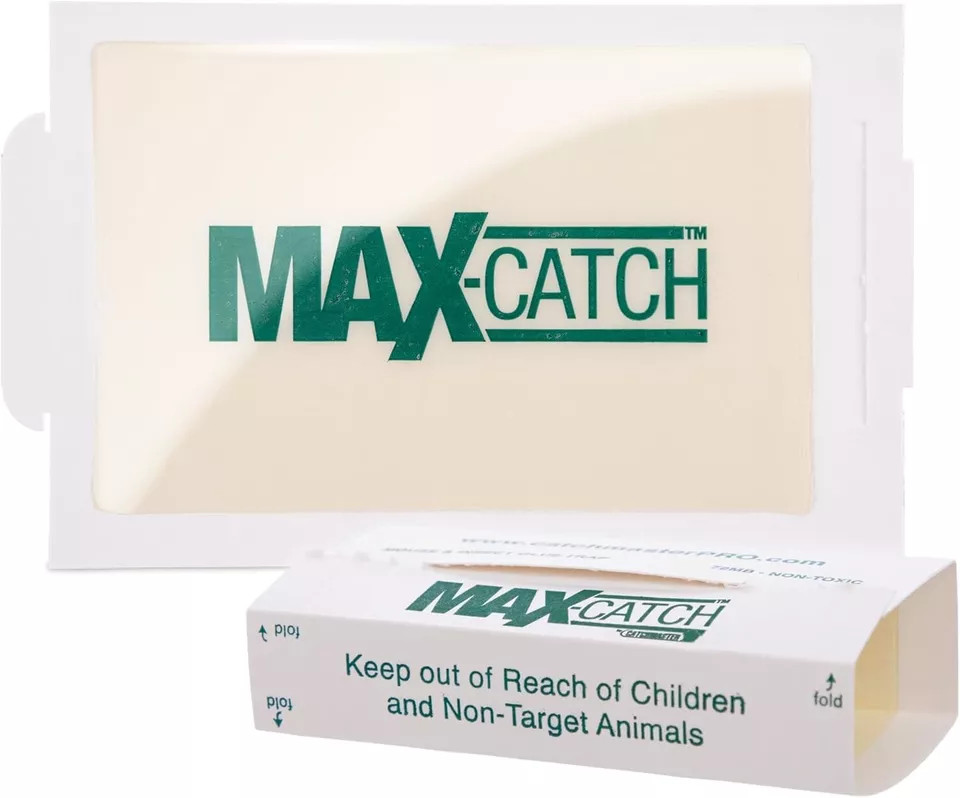MaxCatch Glue Traps 72MAX Pest Boards Catch Mice, Water-bugs & Insects