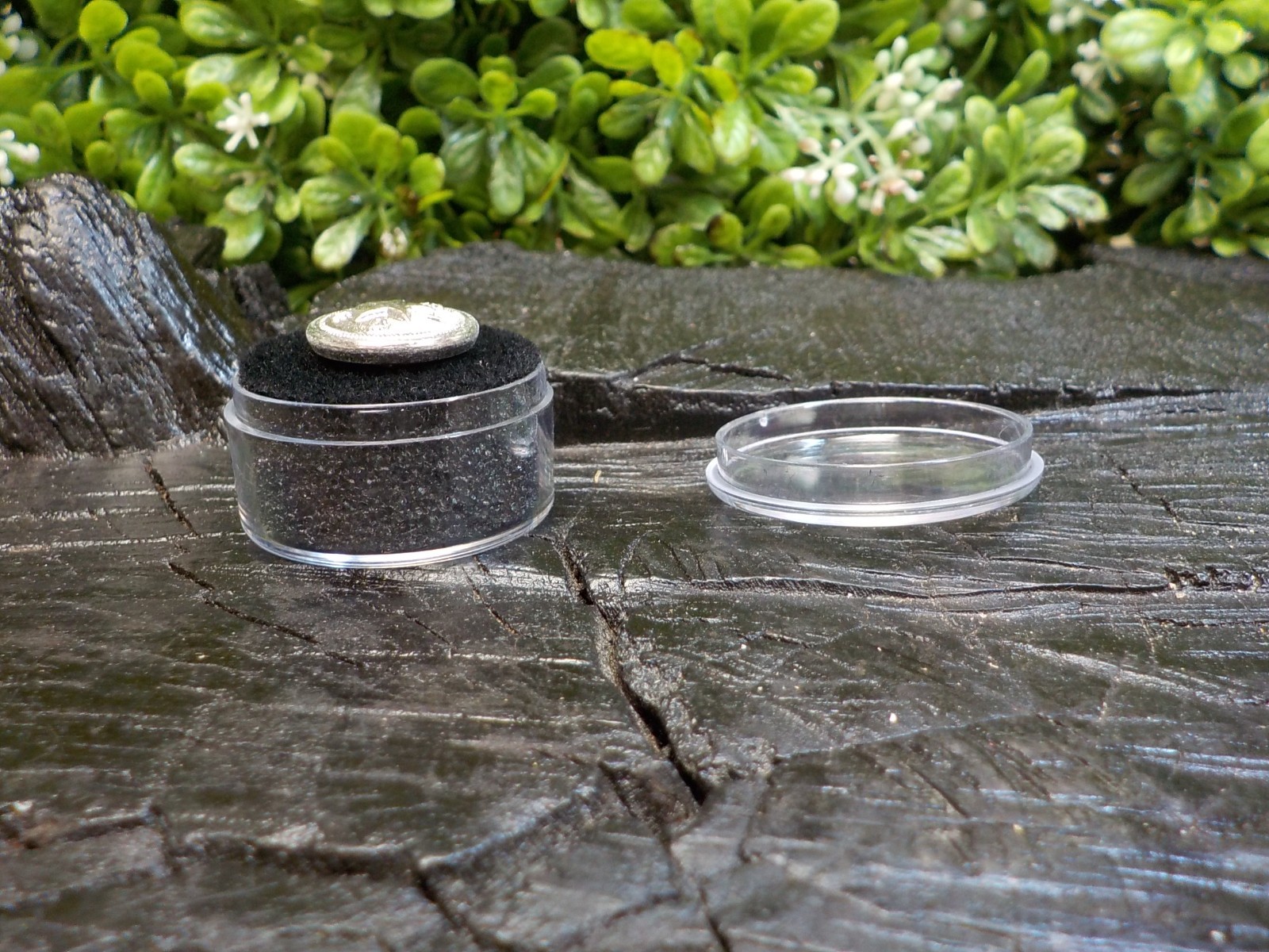 Texas State Seal Vest Button Silver Color with Free Button Case