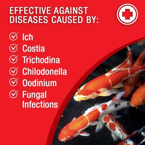 Microbe-Lift Broad Spectrum Disease Treatment, 1 Gallon