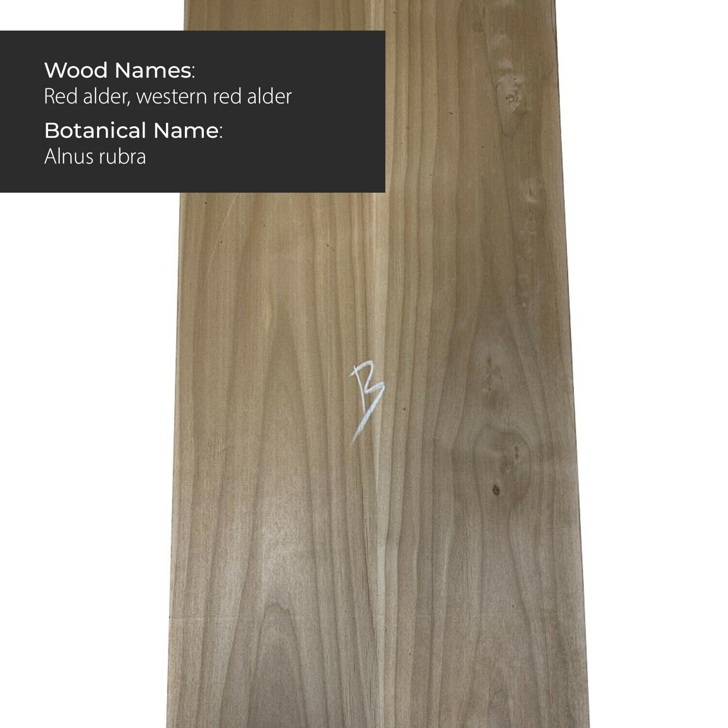 New Alder Electric/Bass Guitar Wood Body Blanks - 21"x14"x1.95" - 2 Piece Glued