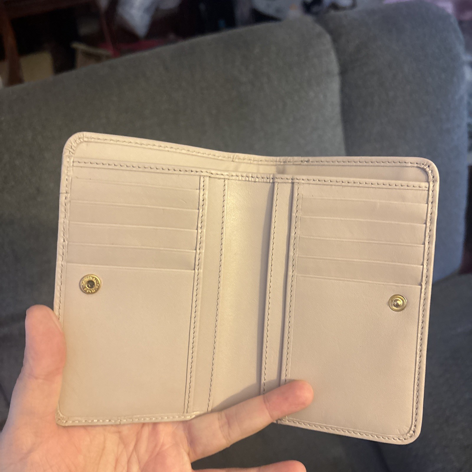 Radley London Scottie Dog Cream Rose Grey Purse Leather Crossbody Scottie Charm