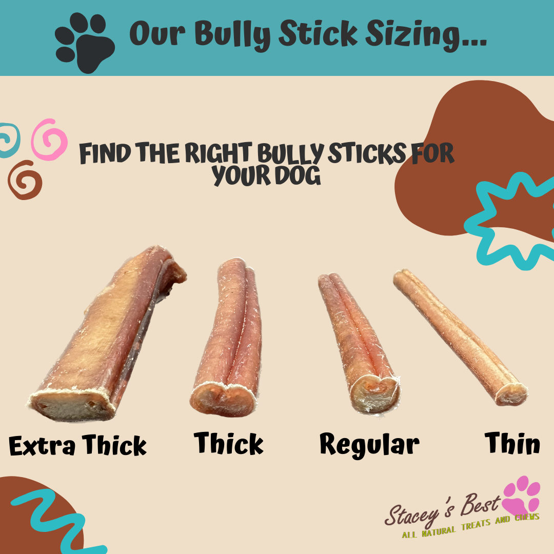 Stacey's Best 6 inch Bully Sticks Dog Chew Excellent Dog Treat (15 Pack)