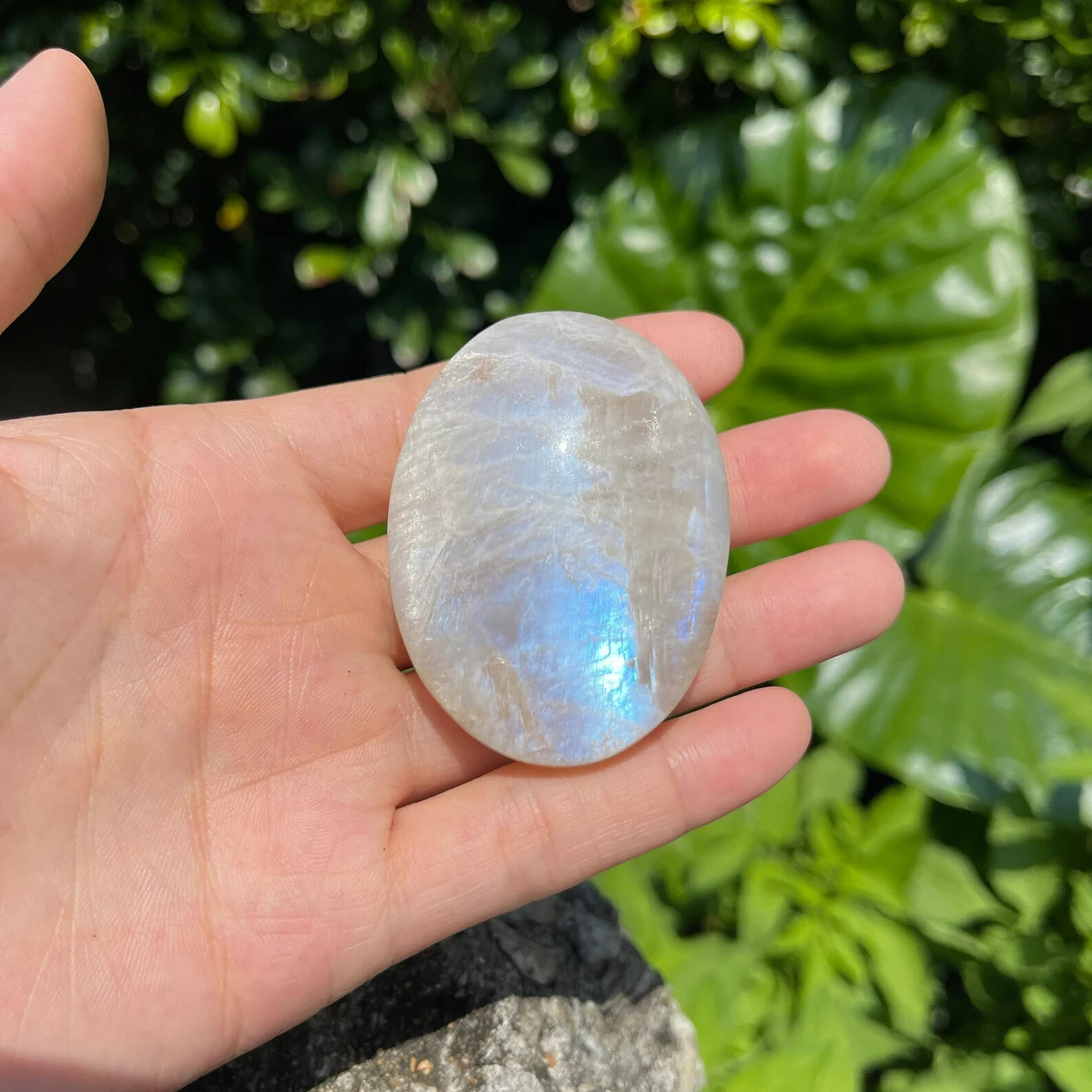 Natural Moonstone Palm Stone Polished Calming Healing Crystal Tumbled Stone Gift