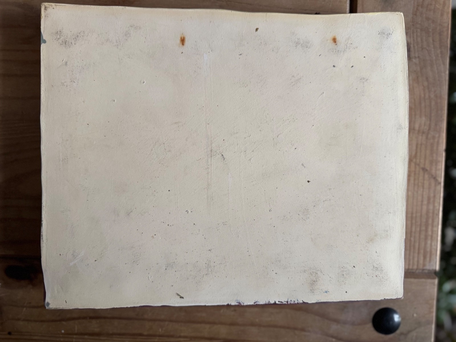 Vintage anatomical model of SKIN Hair follicle & sweat glands