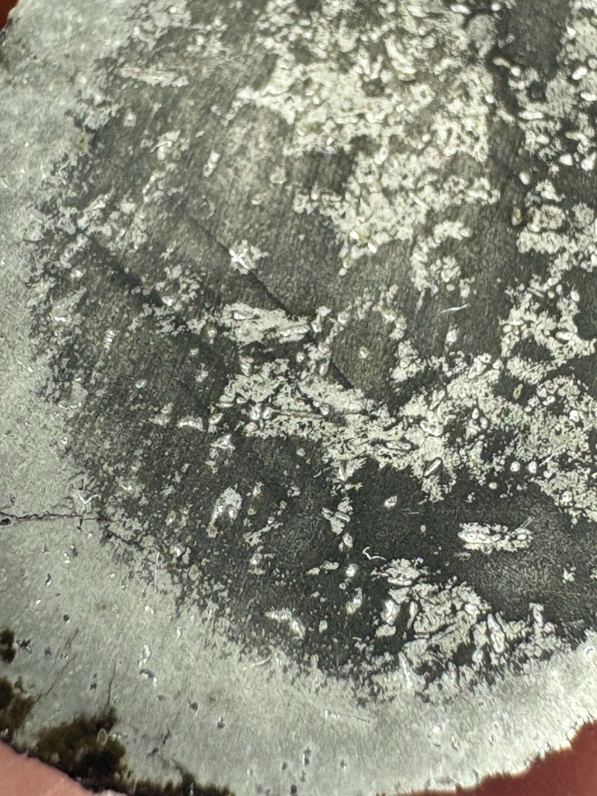 8.0g NWA 17095 IAB-sLH iron meteorite full slice- rare subtype weird features!