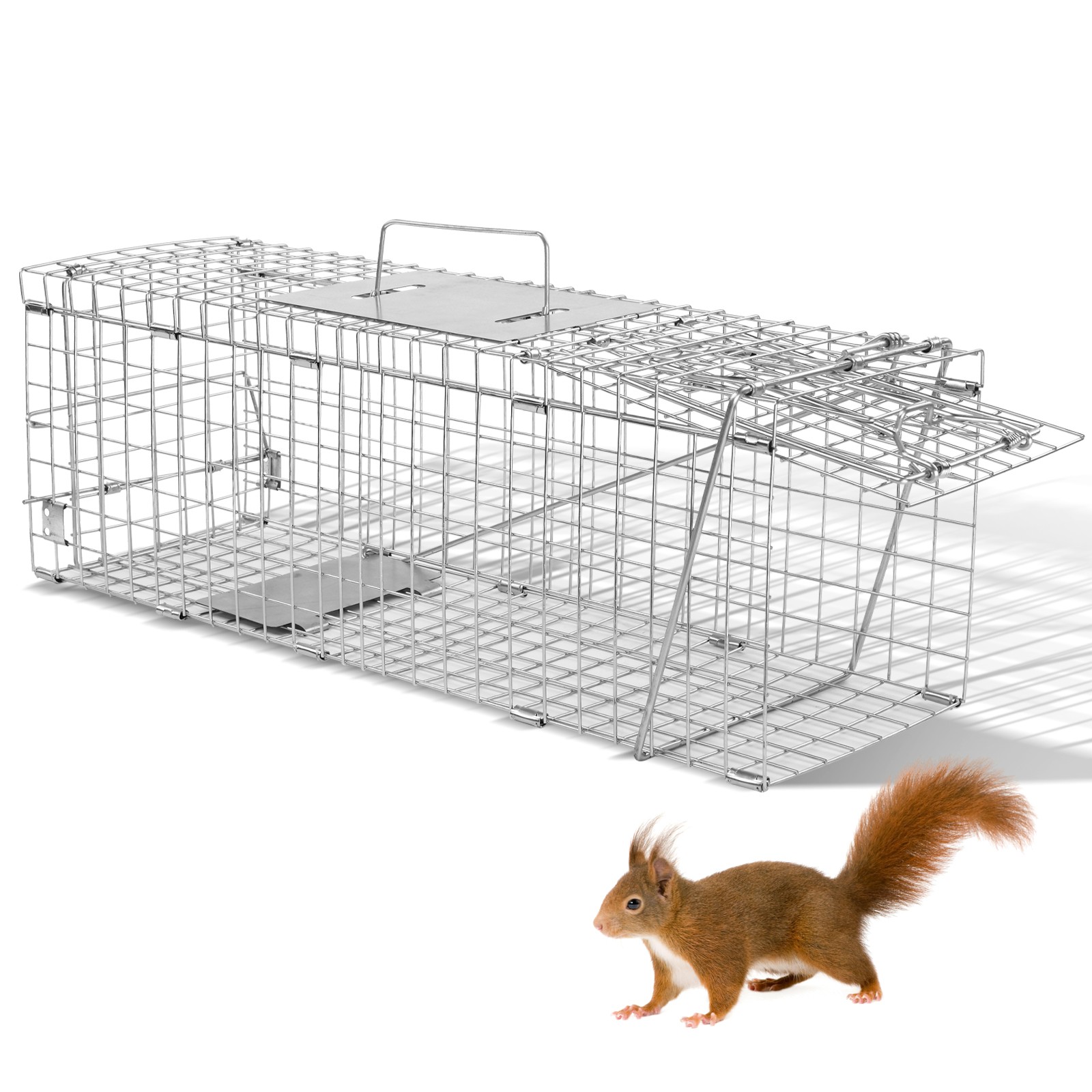 Indoor Live Animal Cage Trap 24 x 7.7 x 8.5in Humane Cat Trap Squirrels Mouse