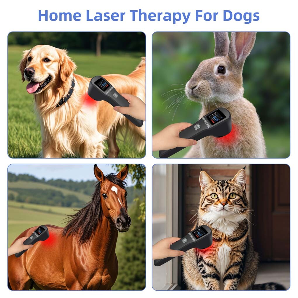 Home LLLT Cold Laser Therapy 880mW for Pain Relief & Inflammation 650nm & 808nm