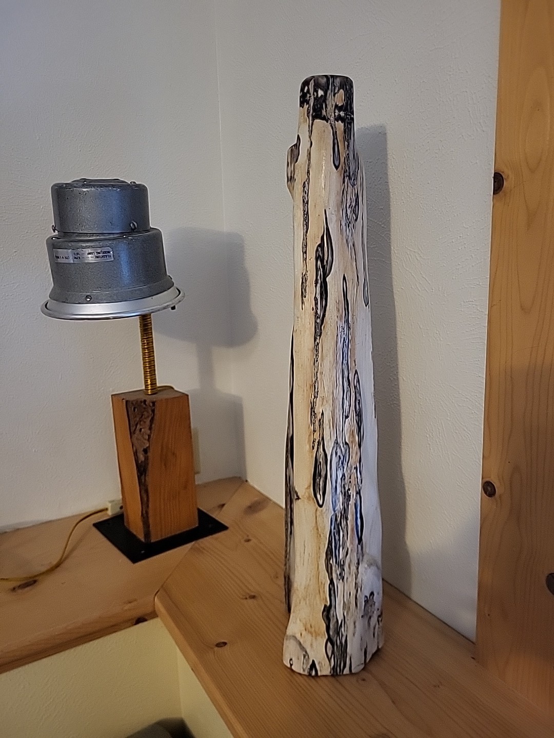 Polished Petrified Wood Fossil Wood Rare Chocolate Calcite Freeform 18.5 inches