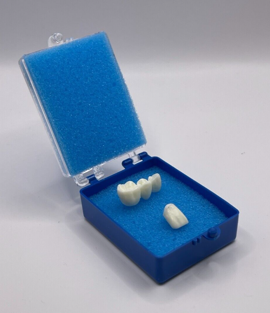 50 Pack, 2" Blue Crown Foam Case Container Hinged Display Box Jewelry Teeth