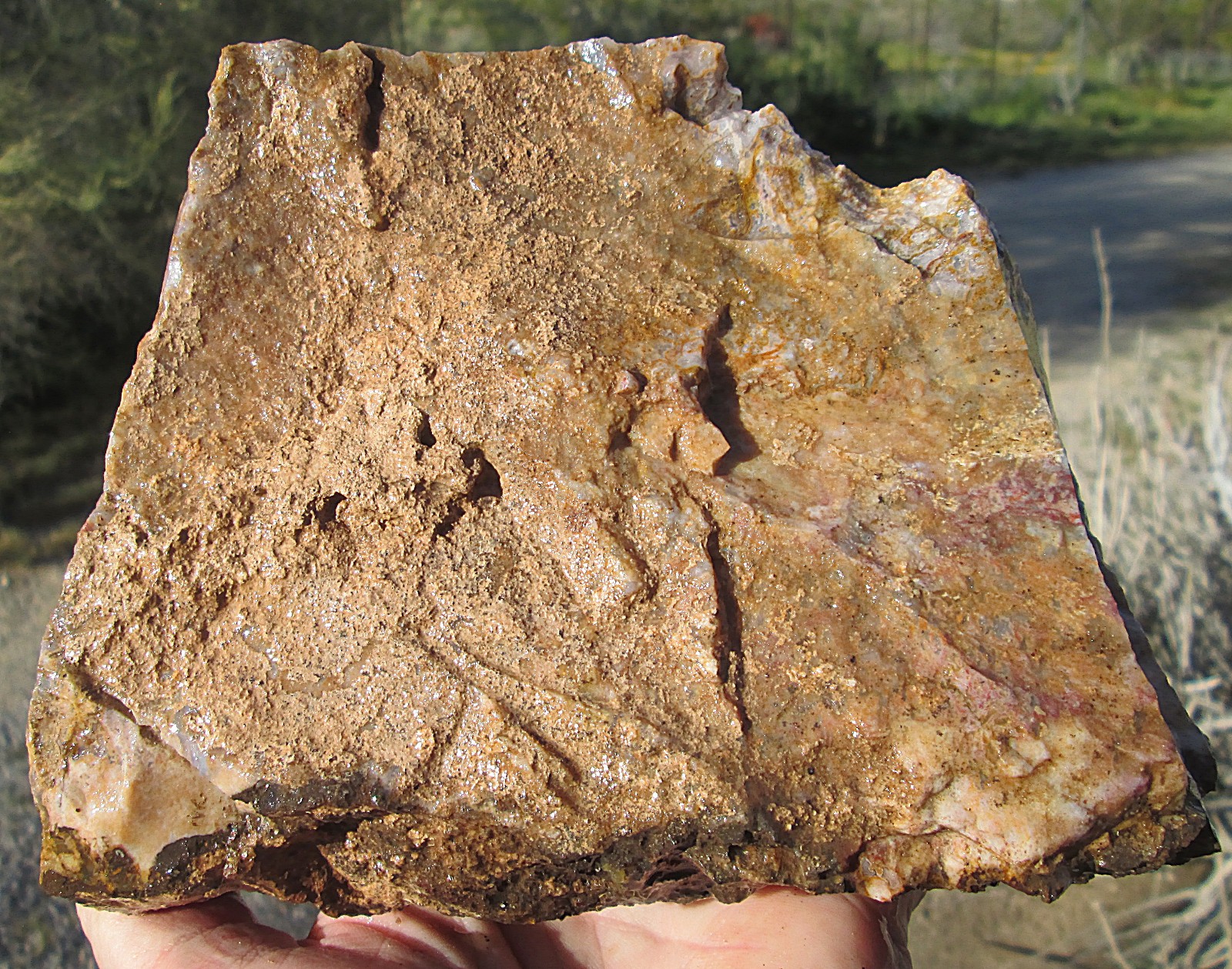 AGUA NUEVA MOSS AGATE ROUGH ~ 5lbs 12.3ozs