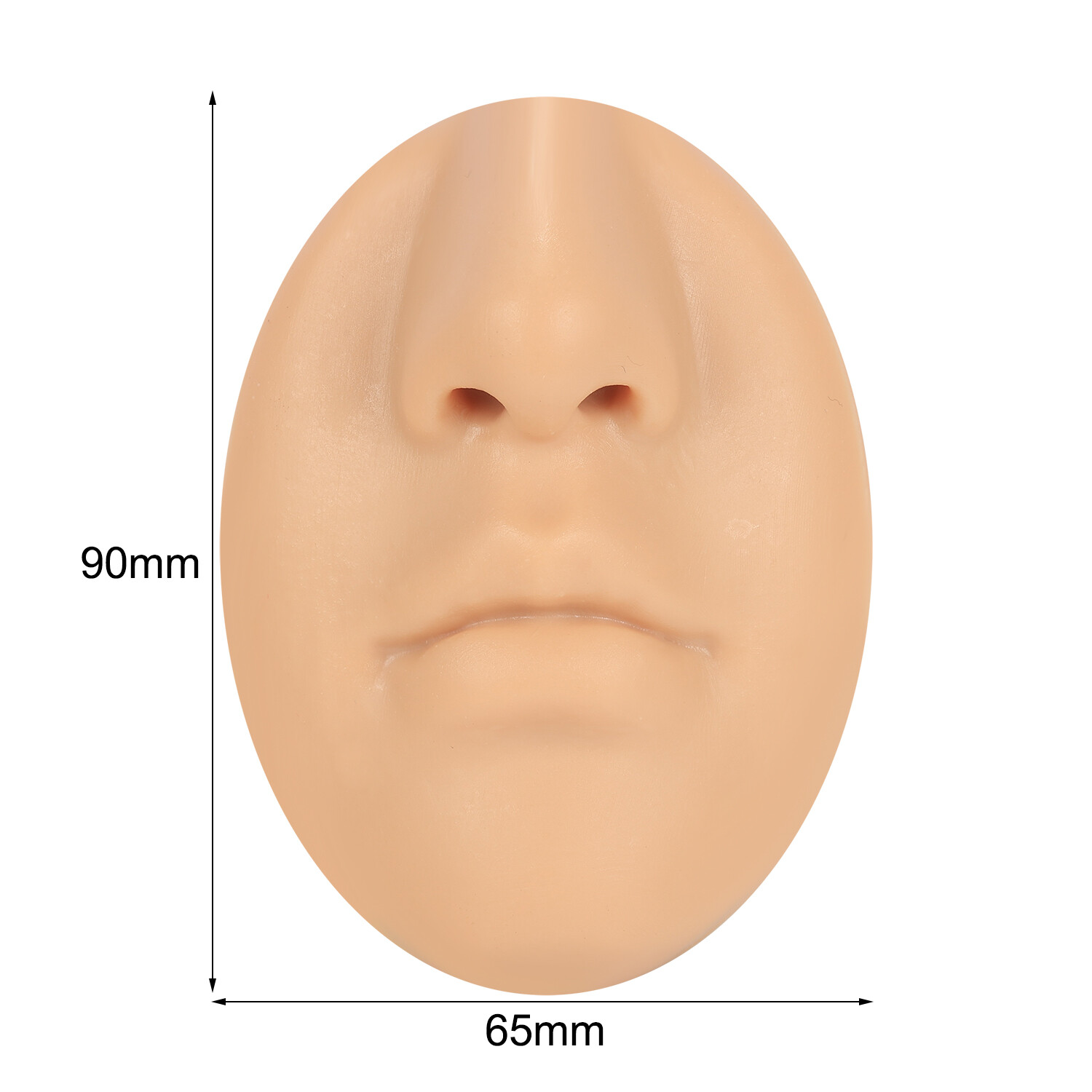 Silicone Ear Model with Acrylic Display Stand Body Parts Practice Piercing Tools