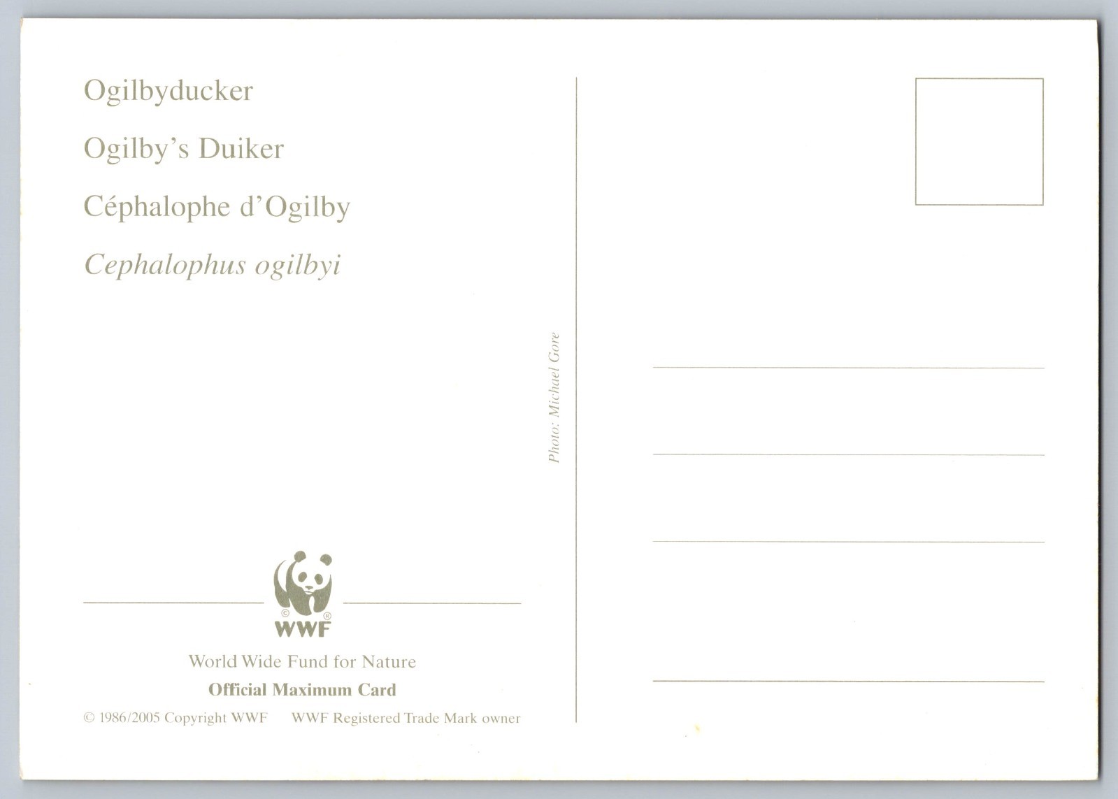 Liberia 2005 Jentink's Duiker & Ogilby's Duiker Set of Four FDC Maxi Cards