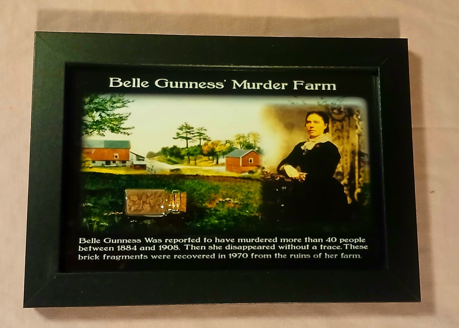 Belle Gunness Murder Farm Brick Fragments Haunted Object House Item Relic w/COA