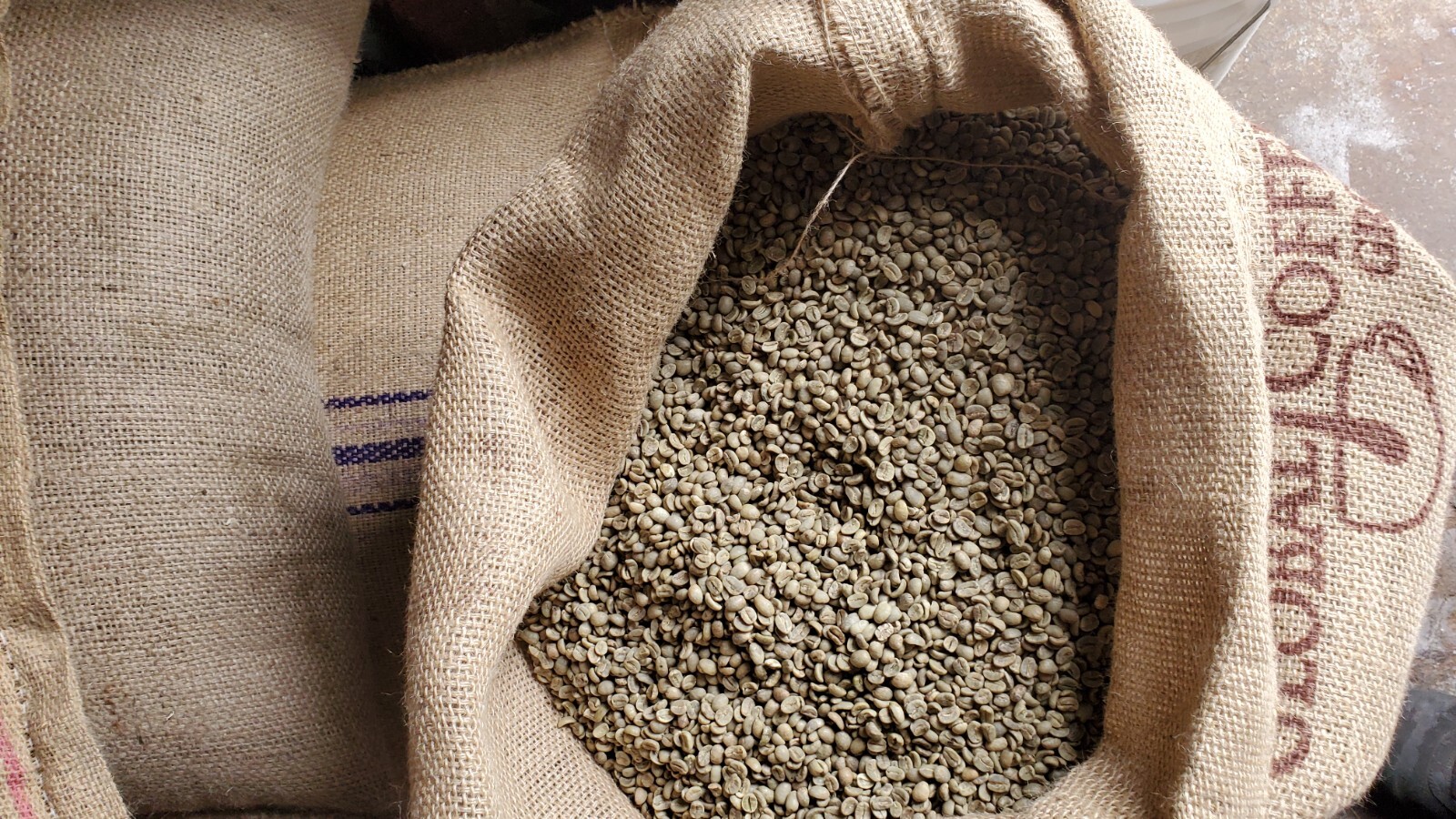 5 LBS HONDURAS HONDURAN FRESH UNROASTED GREEN COFFEE BEANS - ORGANIC ARABICA