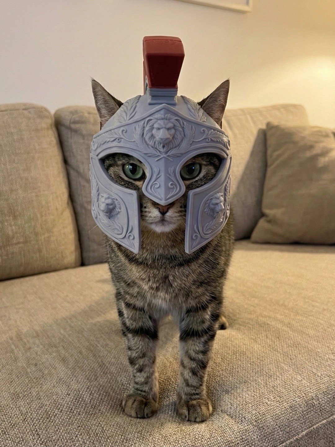 Roman Centurion Kitty Helmet Medieval For Cat