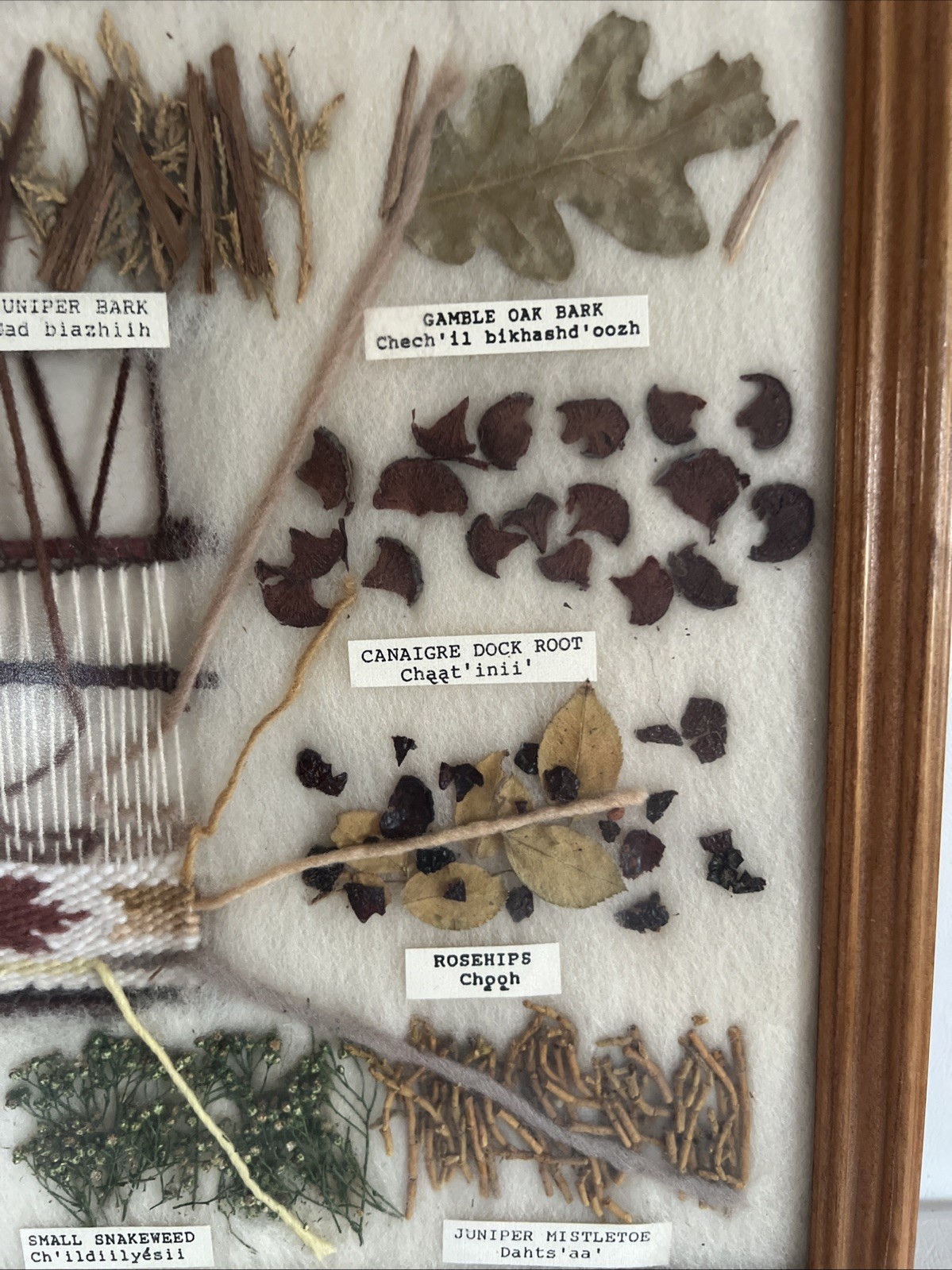 Handmade NATIVE AMERICAN PLANT DYE HERB ILLUSTRATED PICTURE SAMPLER WOVEN