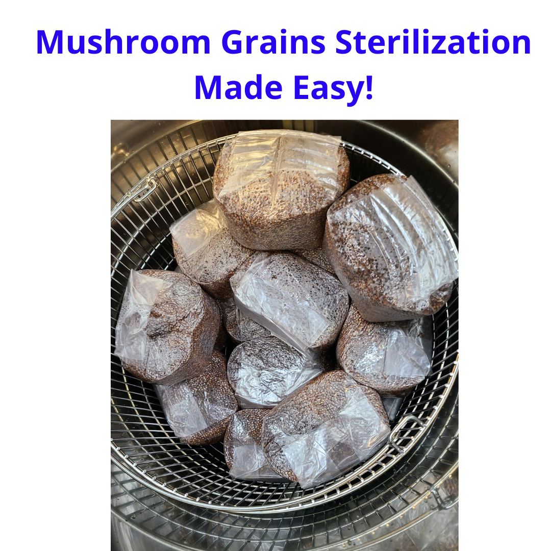 SH Scientific Genuine 150L Autoclave | Set & Forget | 3 Year Warranty | 10% off