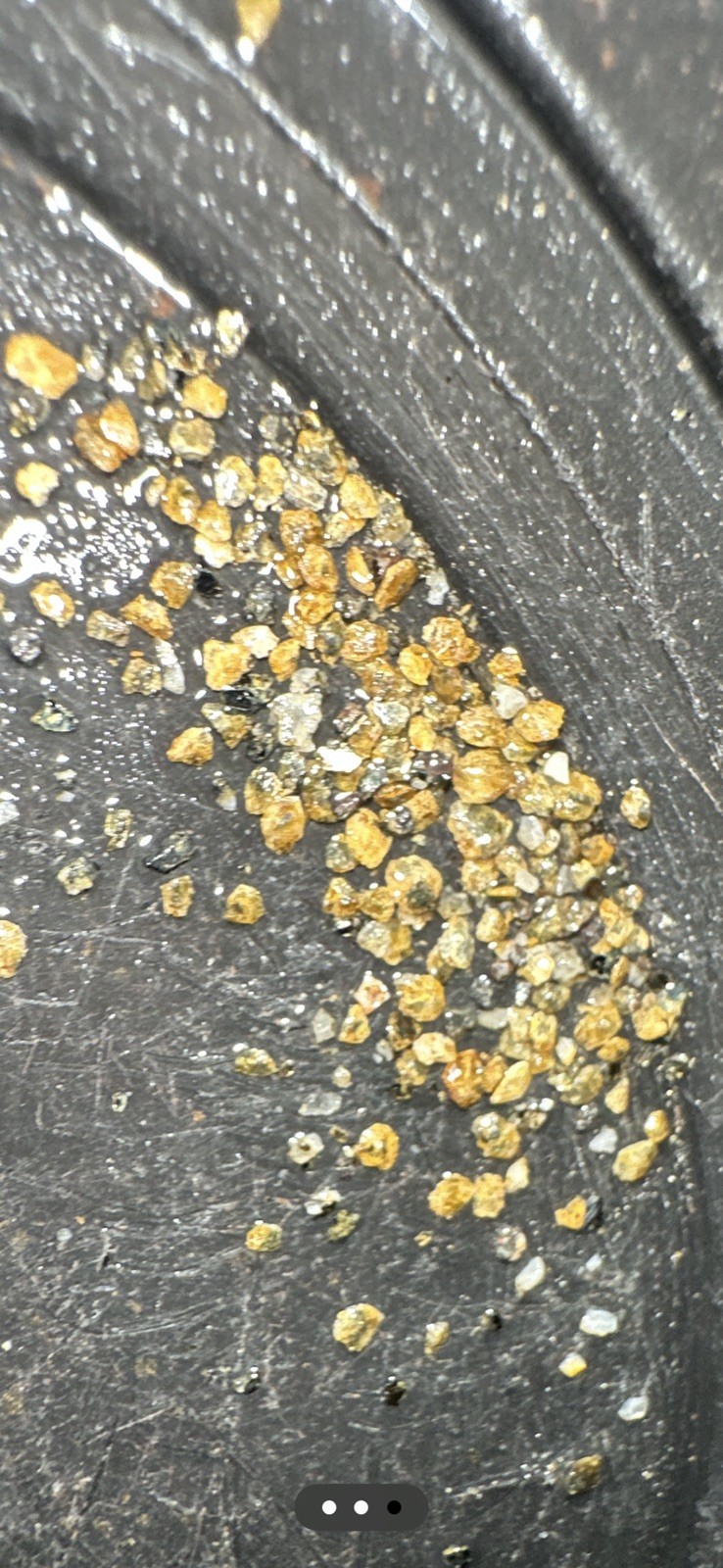 PayStreak™ Gold Ore —🔥 5 lbs 🔥Vein Quartz w/ REAL Visible Gold!