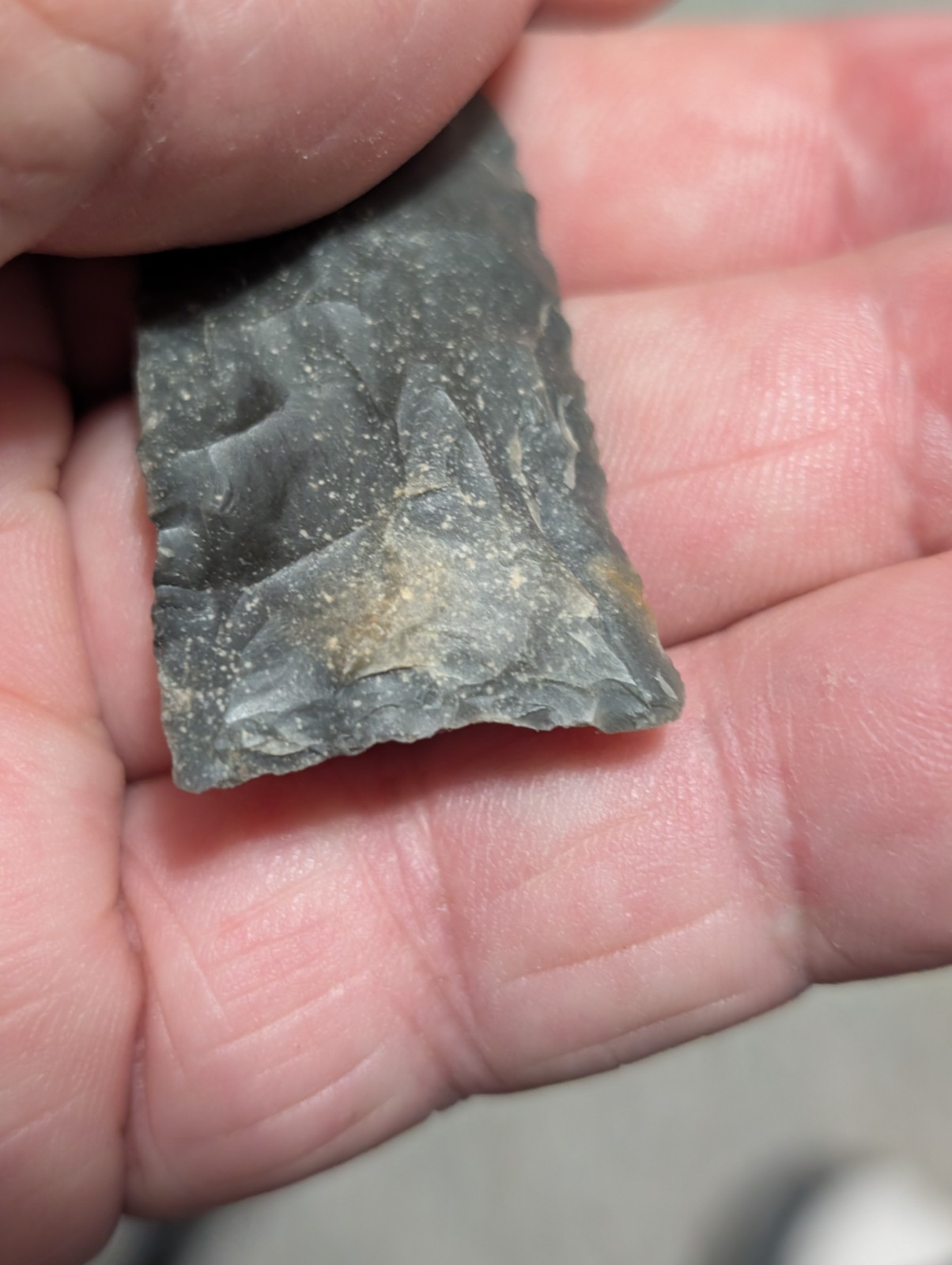 Gorgeous Copena, 2 7/16", N Ctrl Alabama, Bangor Chert, Authentic Arrowhead