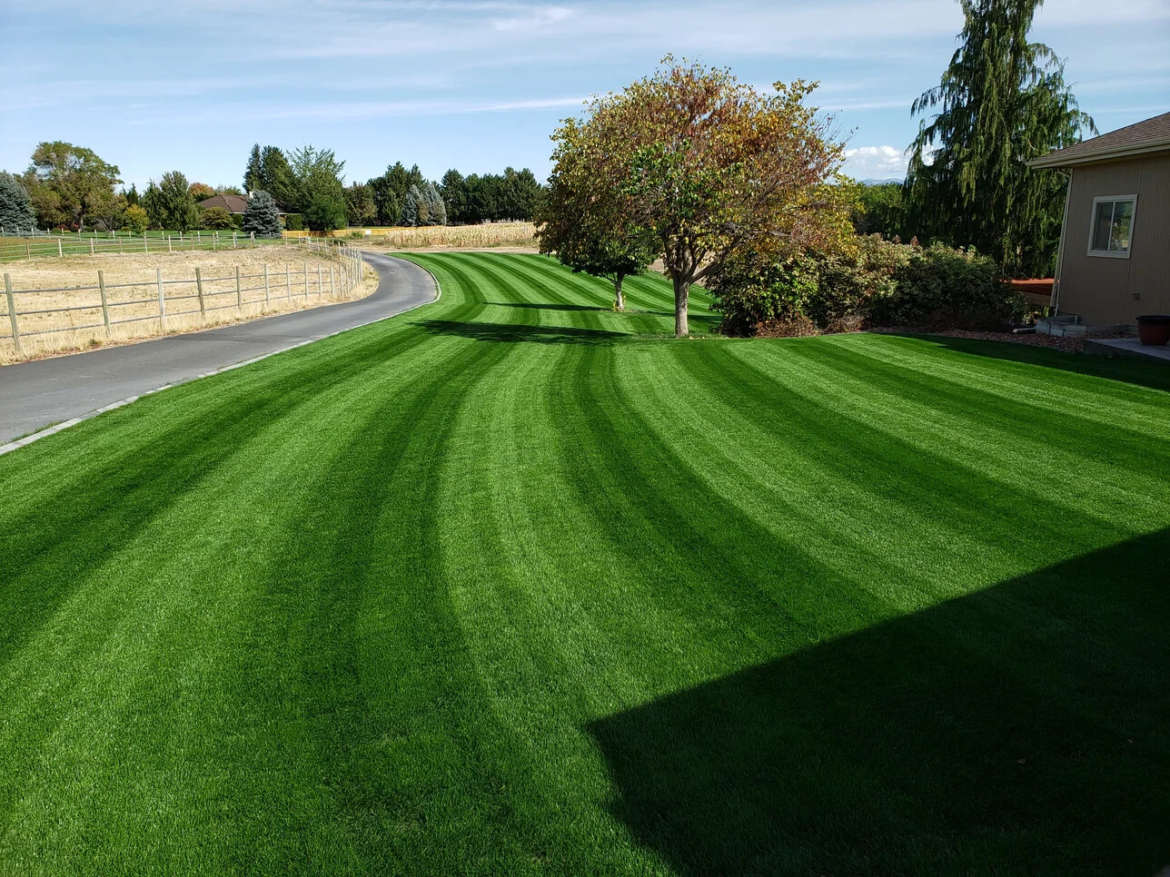 YARA Turf Royale Fertilizer 21-7-14 ALL SEASON LAWN Pro Fertilizer Prilled FAST