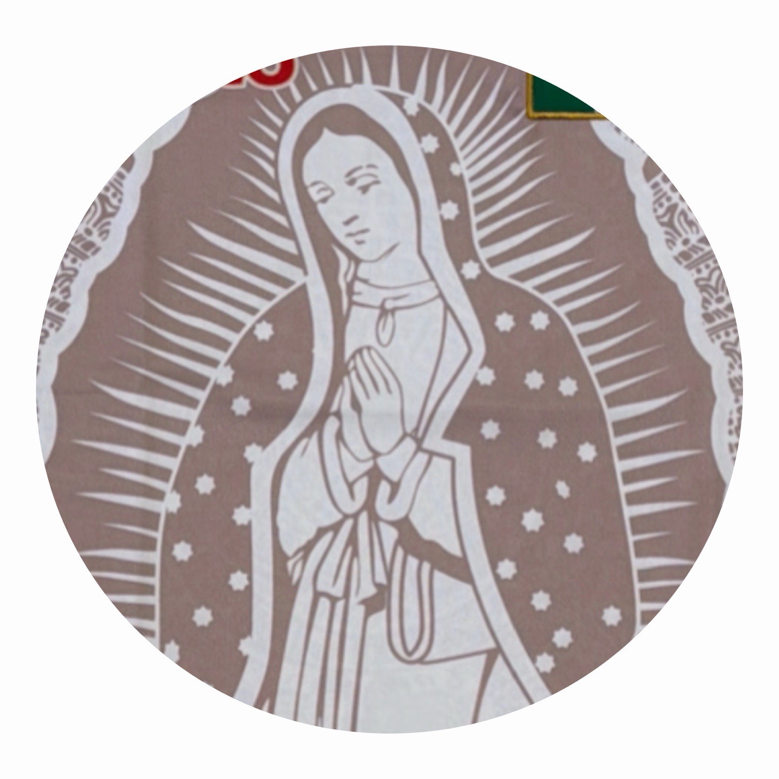VIRGENCITA Mexico Jersey Unisex Brown Color