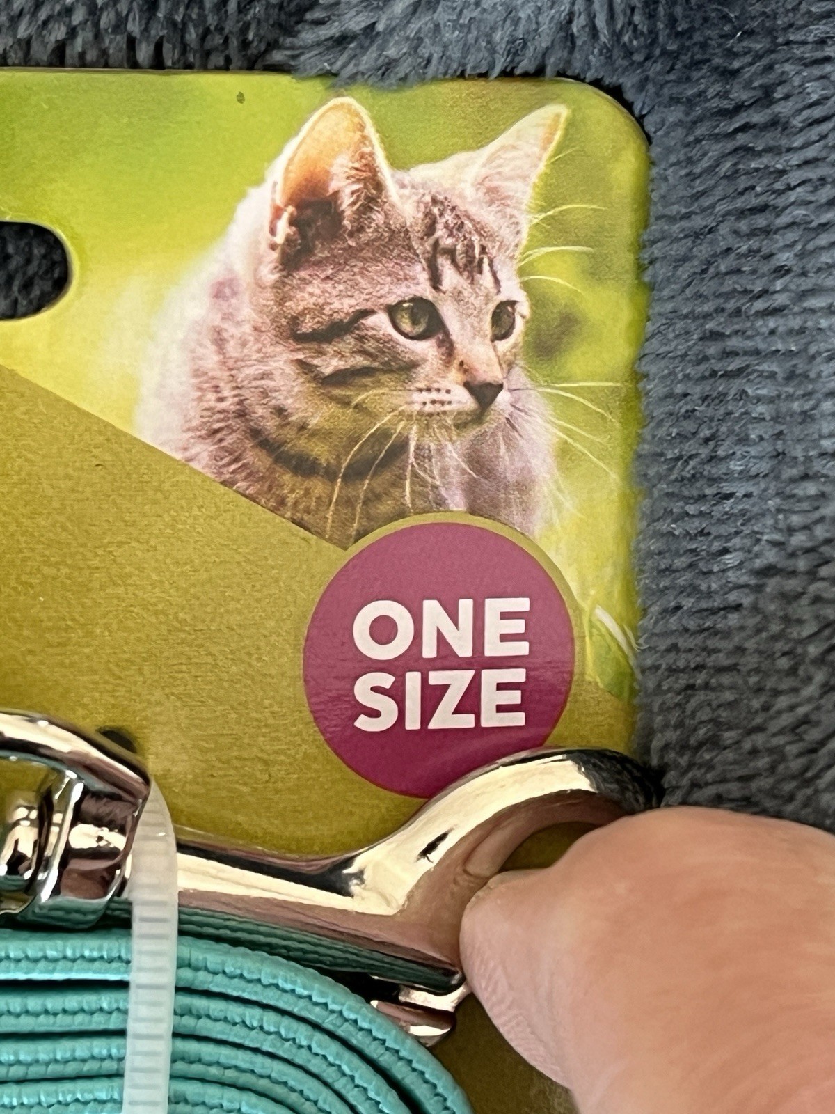 BLUE SUSHI DESIGN Vibrant Life Harness + Leash for Cats - One Size 5 - 10 lbs