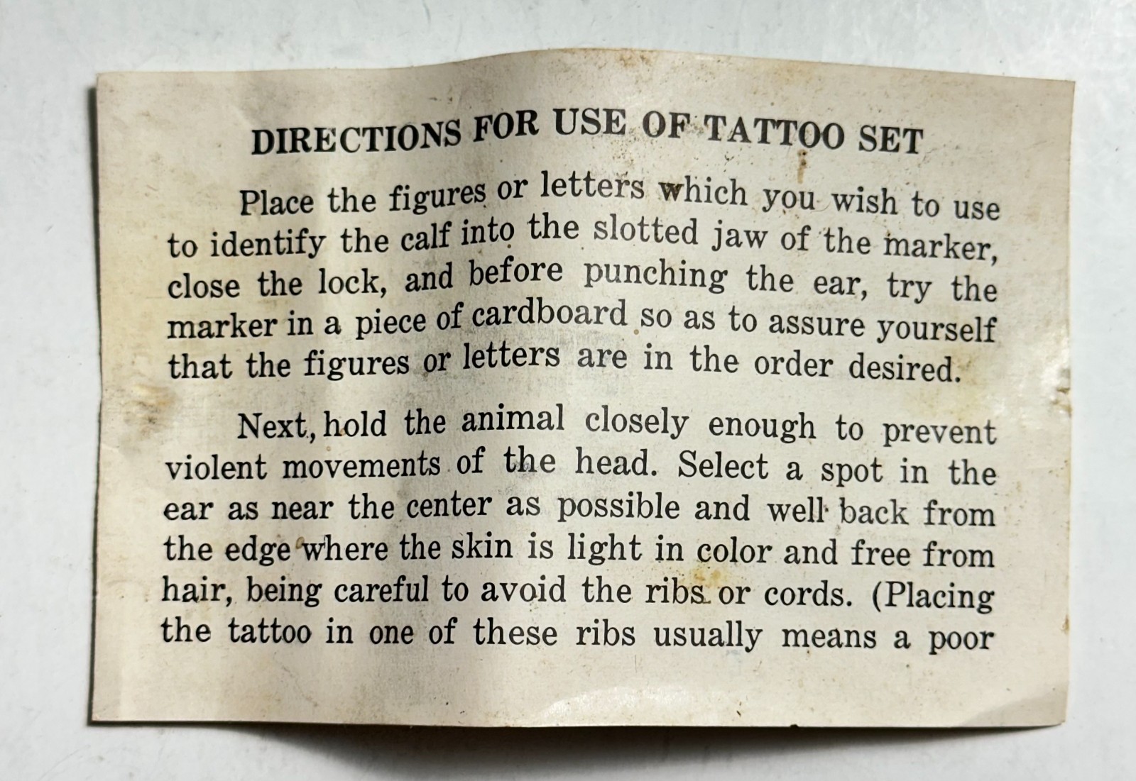 Vintage Stone Animal Tattoo Outfit Tattoo Digits