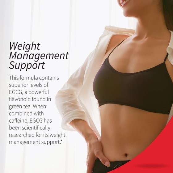 Applied Nutrition Green Tea Weight Loss Supplement, 90 Capsules Free Shipping...