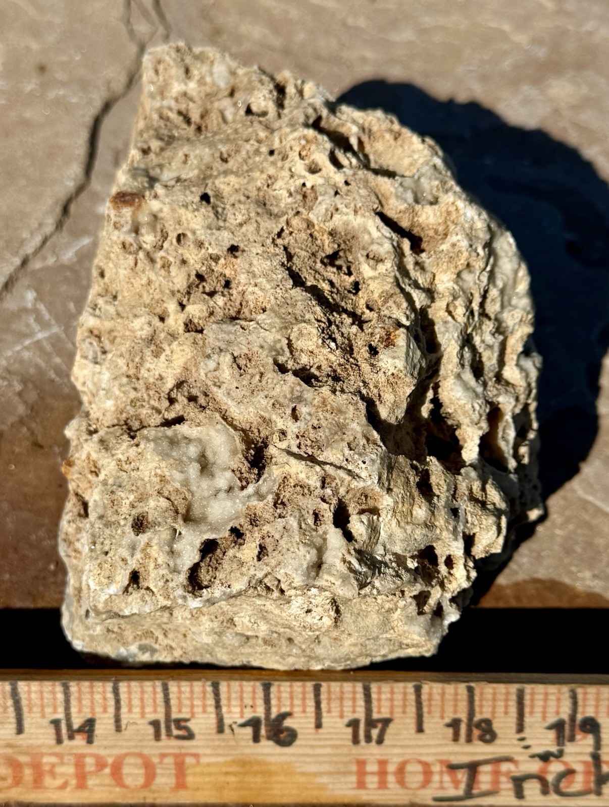 GORGEOUS* 7 Lb Crystallized Fossil Coral Reef Rock~Brilliant Druzy Sparkle