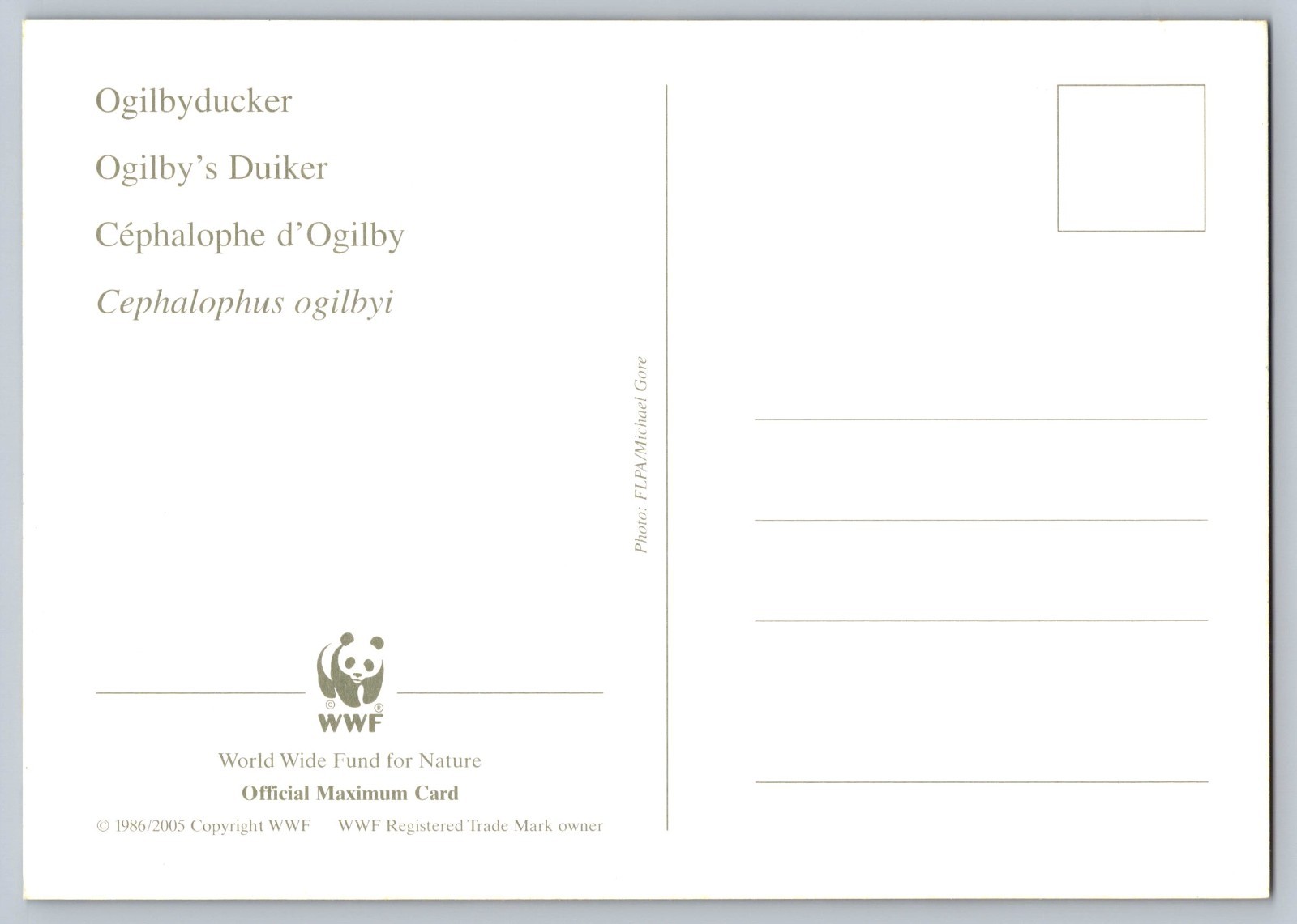 Liberia 2005 Jentink's Duiker & Ogilby's Duiker Set of Four FDC Maxi Cards