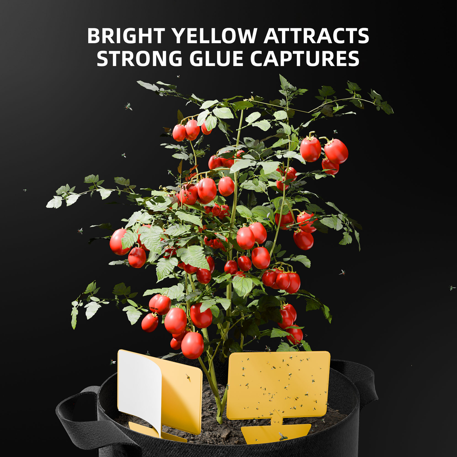 Spider Farmer Bud Leaf Trimmer/Vacuum Seal Jar/Tookit/Trim Tray Harvest Tools