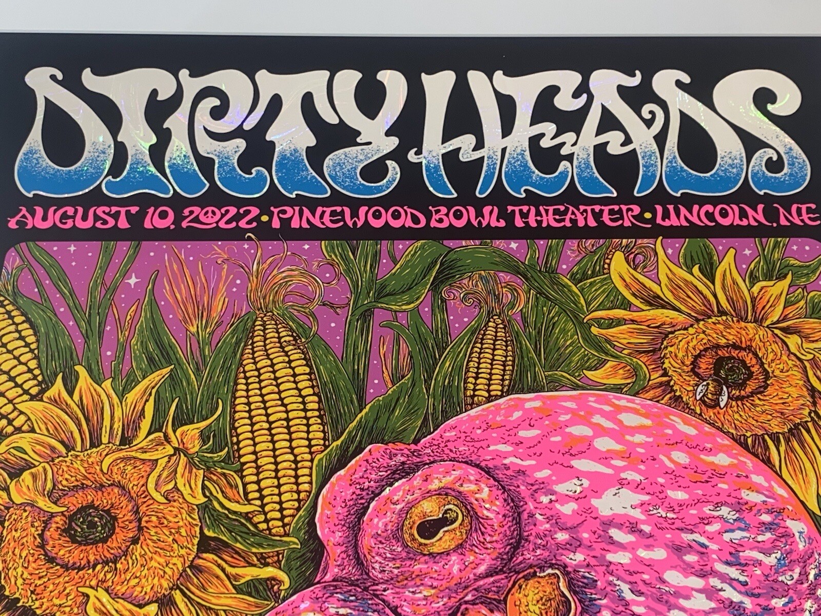 Dirty Heads Poster Lincoln NE 8/10/22 Silkscreen White Swirl Foil S/N Official