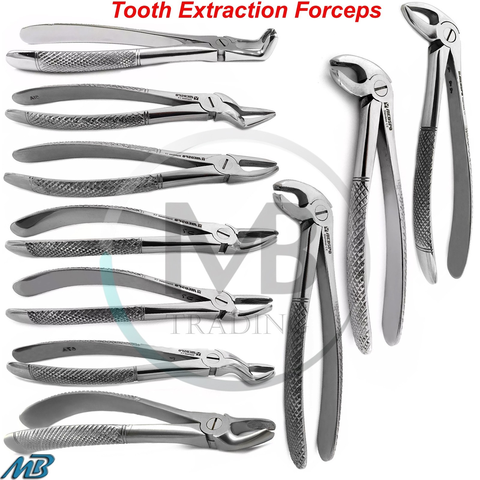 Dental Tooth Extraction Forceps Upper & Lower Molar Teeth Extracting Pliers CE
