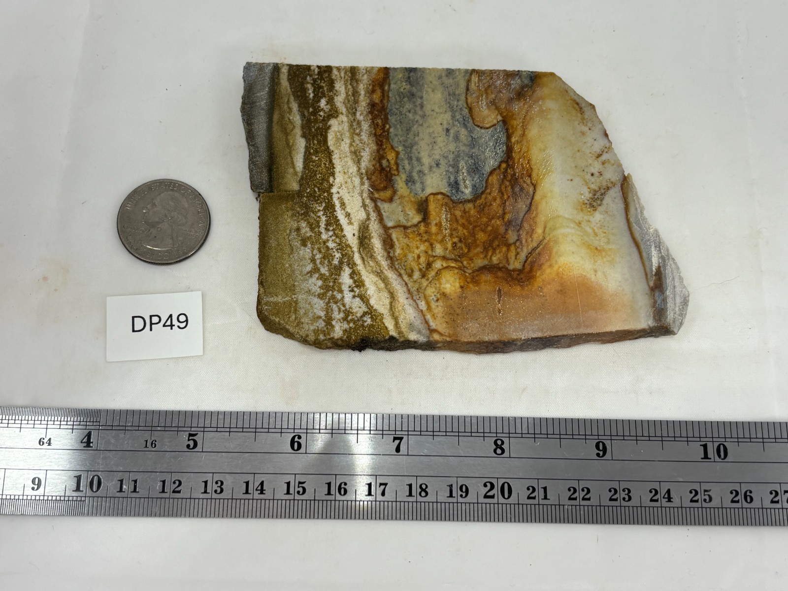 Disaster Peak Picture Jasper Slab Cabbing Lapidary Collecting Combo Ship Avail