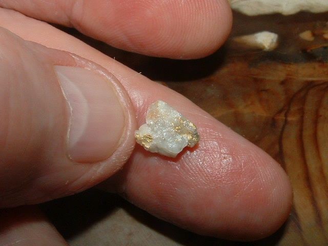 GOLD QUARTZ SPECIMEN .33 GRAM BLUE MTNS OREGON GOLD
