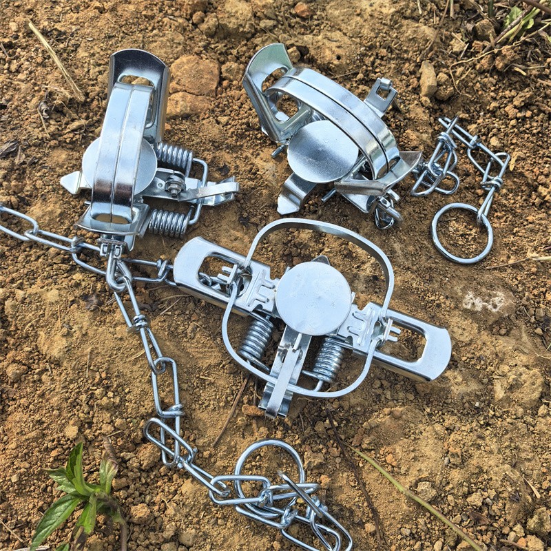 3 Packs Coil Spring Traps Raccoon Mink Muskrat Trapping Nuisance Hare Rat Nutria