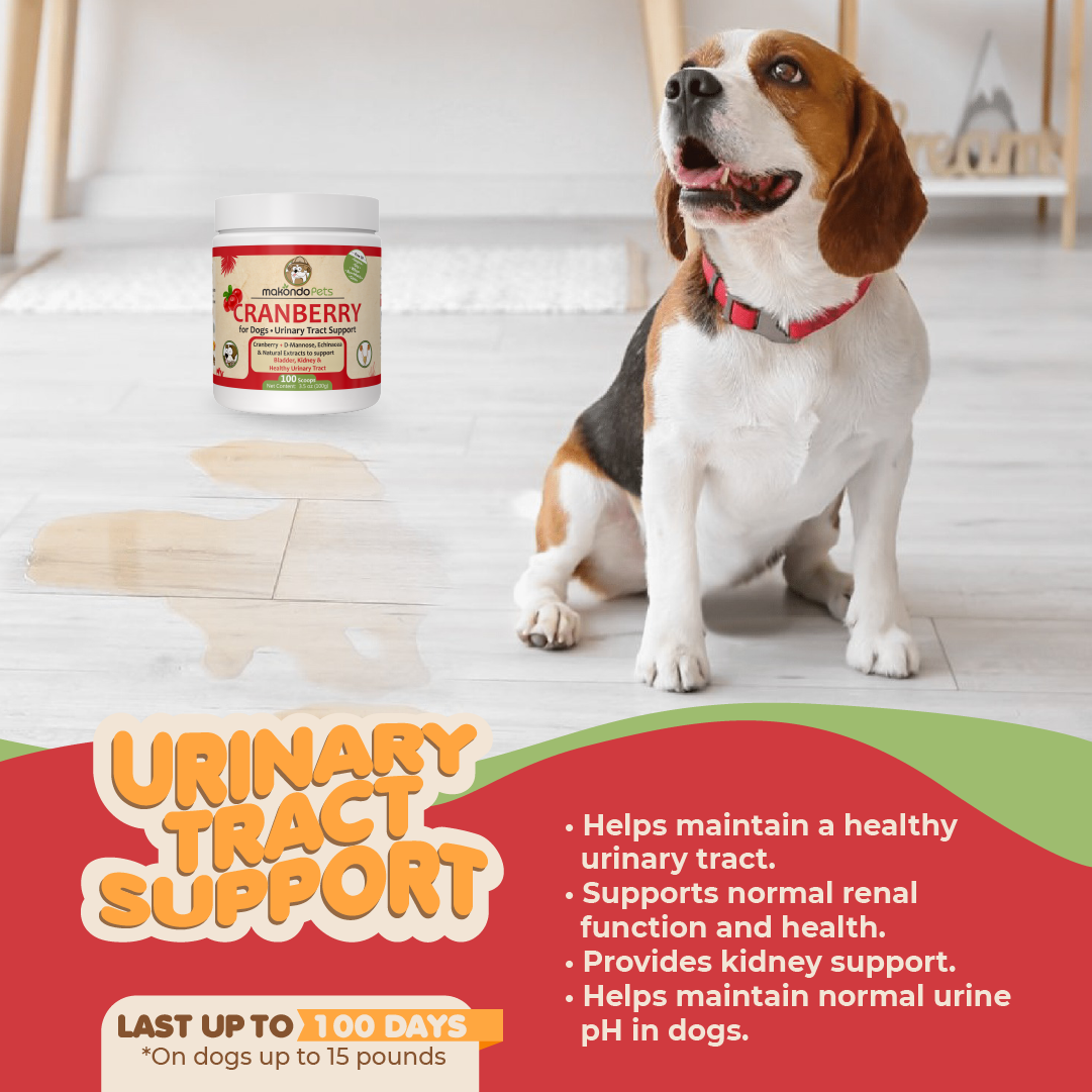 Cranberry for Dogs Powder Supplement – UTI Natural Remedy Urinary Tract Support