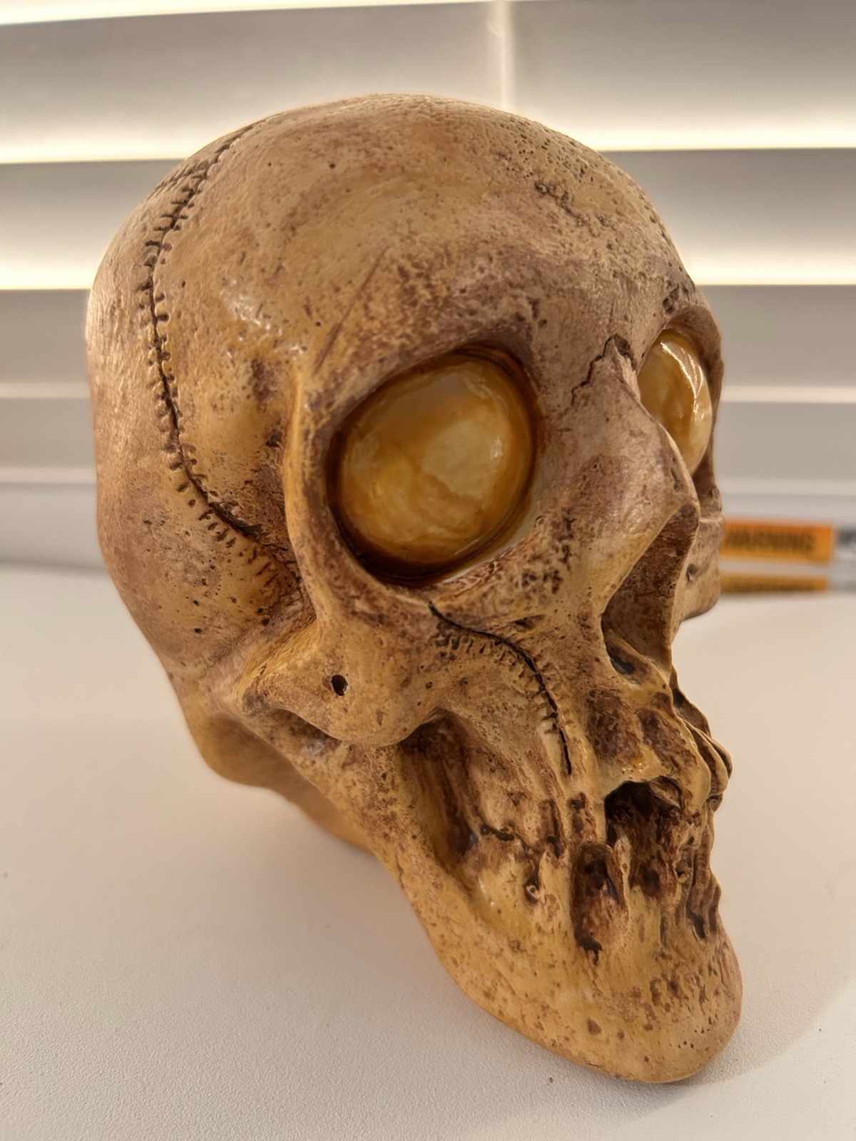 VINTAGE RANDOTTI SAMPLE "GOOGLE YELLOW EYED SKULL" STILL GLOWS IN THE DARK