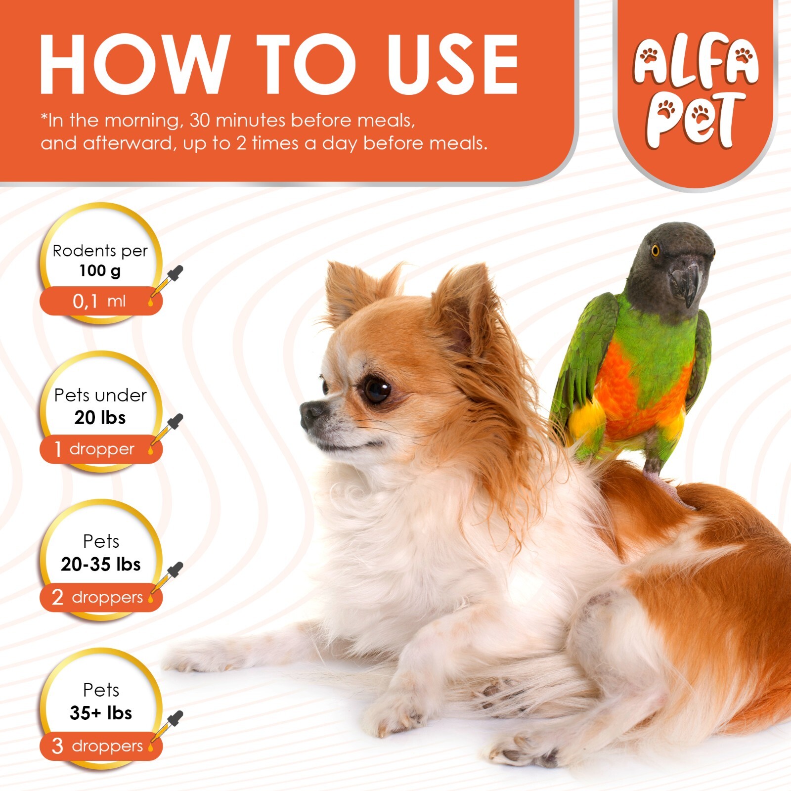 Pet Natural Dewormer Liquid | For Dogs & Cats | Daily Use Worm Support