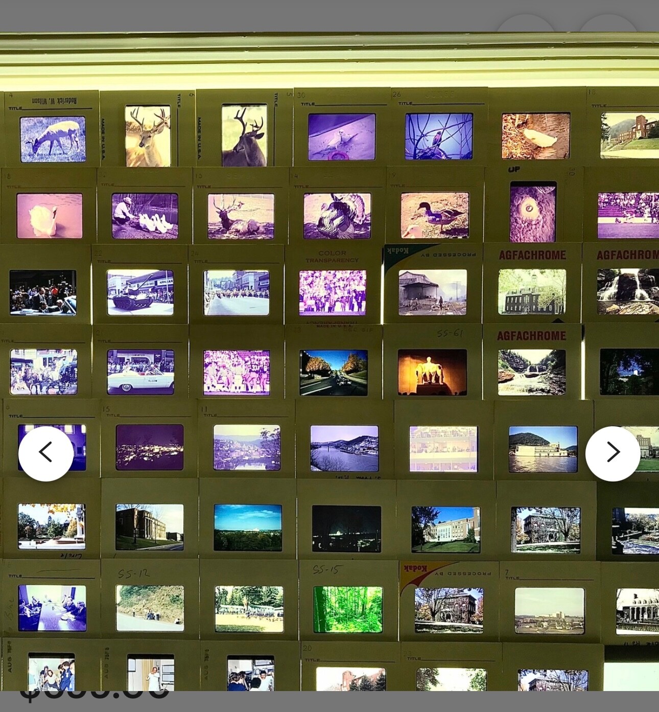 1970'S Commercial Slide Viewing Storage Cabinet Dieter Rams Style Walnut & Steel