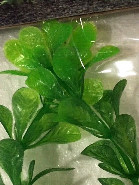 5 x LARGE MIXED *ALL GREEN* PLASTIC PLANT LOT 8"- 11" AQUARIUM FISH DECORATION.