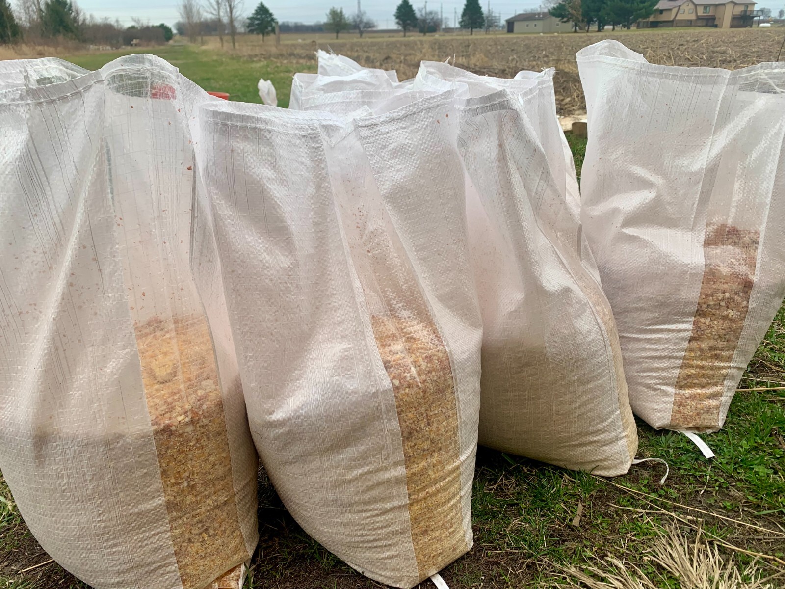 Cracked Corn Premium Chicken Scratch Turkey Bird Feed 15 lb Ship included