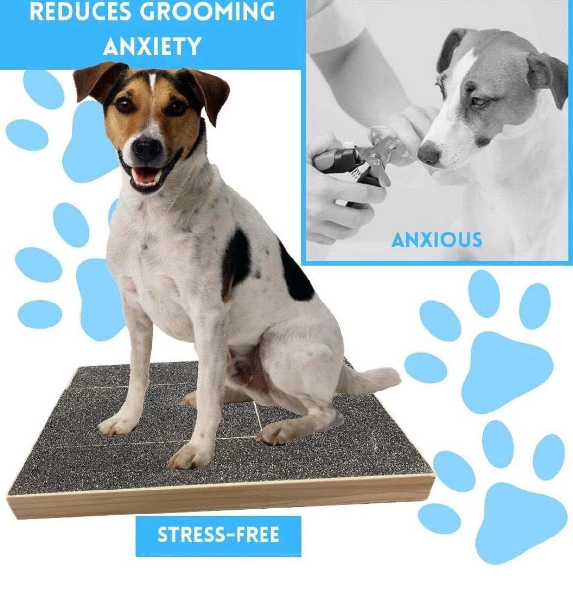 Deluxe Dog Scratch Pad Bundle with Snack Compartment