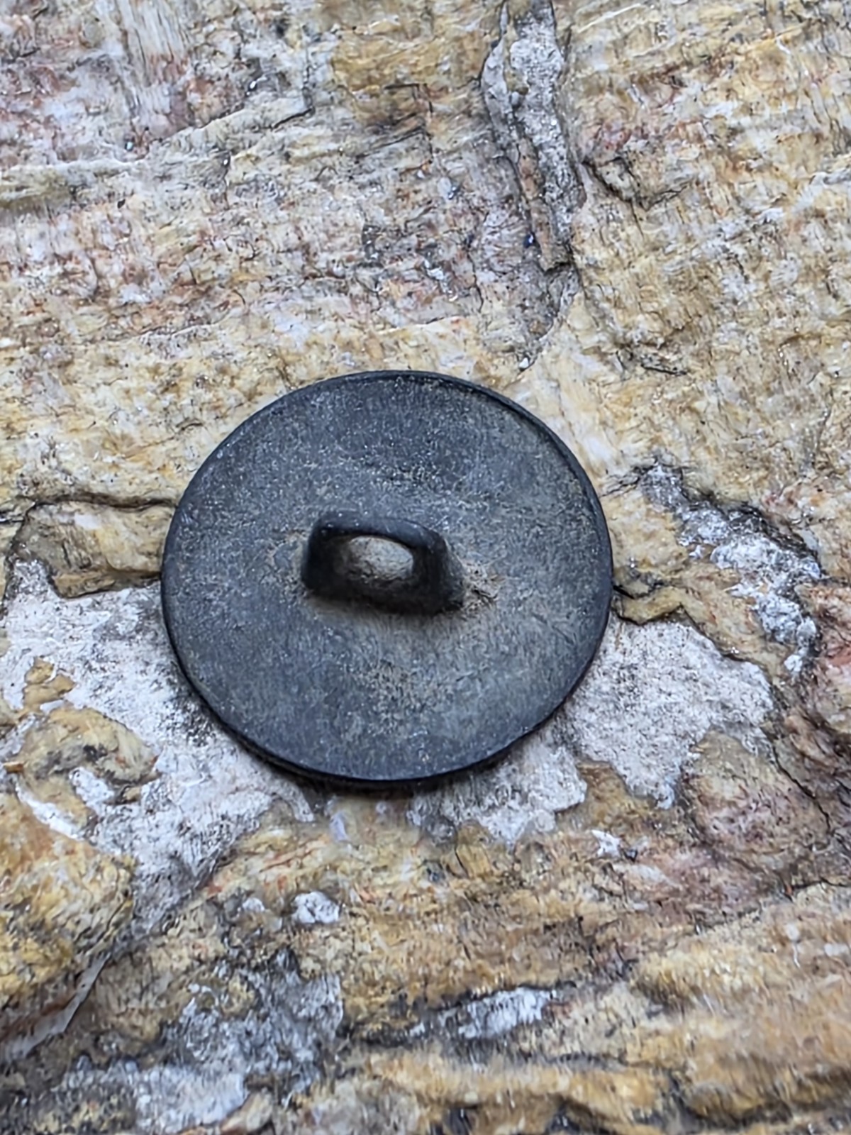 Mexico Spanish Colonial Military Cavalry Button (Horse)