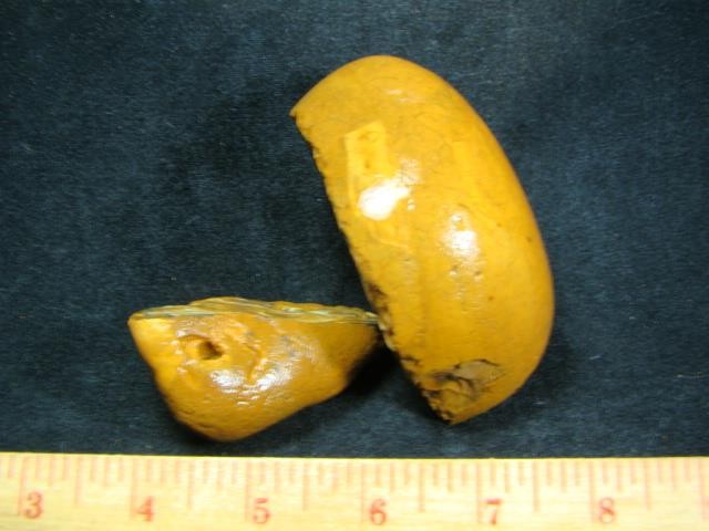 Royal Sahara Jasper® 2 Pc. Rough Nodules 2.0 Lb. ~TOP GRADE~ # D