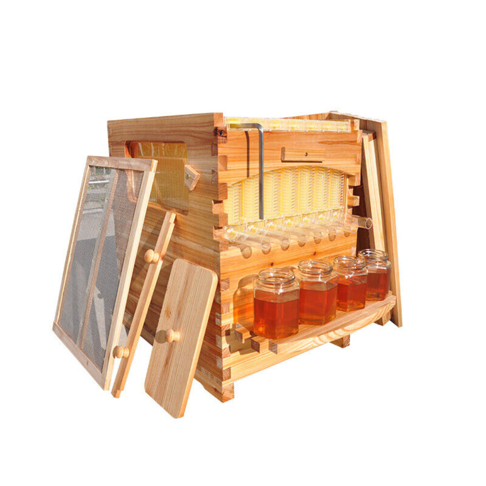 Auto Beehive 7 Frames Complete Box Kit Bee Hives Bee Frames + Beekeeping Hive